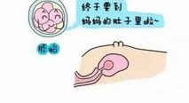 在吉林省延边妇幼保健院做试管婴儿要多少钱？成功率怎么样？附试管怀孕机构名单一览