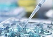 排卵障碍不容忽视，不孕大多是其原因！和龙市哪家医院擅长排卵障碍试管方案？