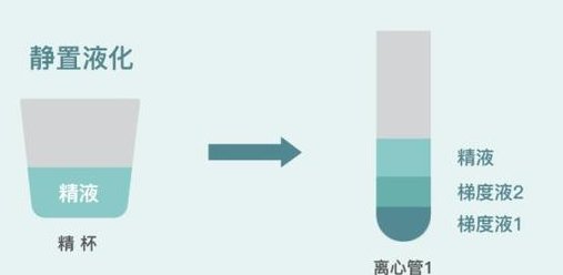 卵泡数量告急？仅3个基础卵泡，试管婴儿成功秘籍大公开！