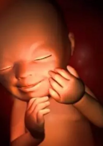 试管促排黄体期如何轻松度过月经？四个方法来帮您